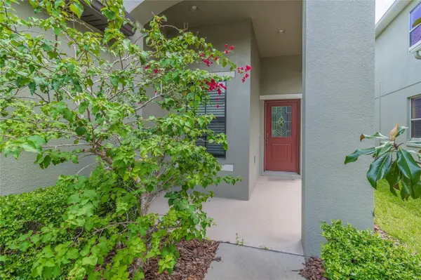 7815 TUSCANY WOODS DR, Tampa, FL 33647