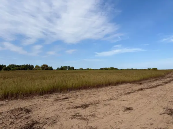 TBD (L2-SM East) Yellowpine CT NW, Isanti, MN 55040