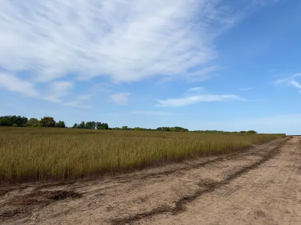 TBD (L3-SM East) Yellowpine CT NW, Isanti, MN 55040