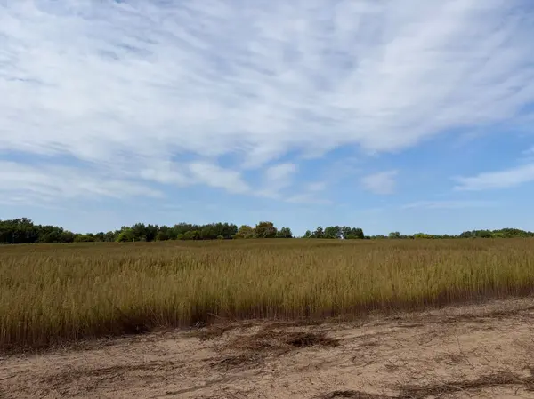 TBD (L3-SM East) Yellowpine CT NW, Isanti, MN 55040