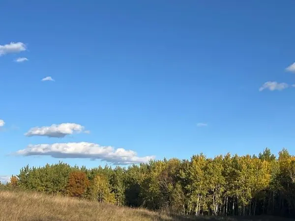 19212 Stockyard RD, Bagley, MN 56621
