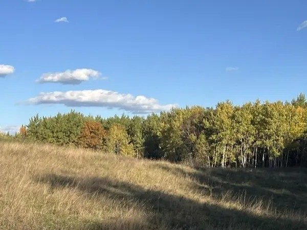 19212 Stockyard RD, Bagley, MN 56621