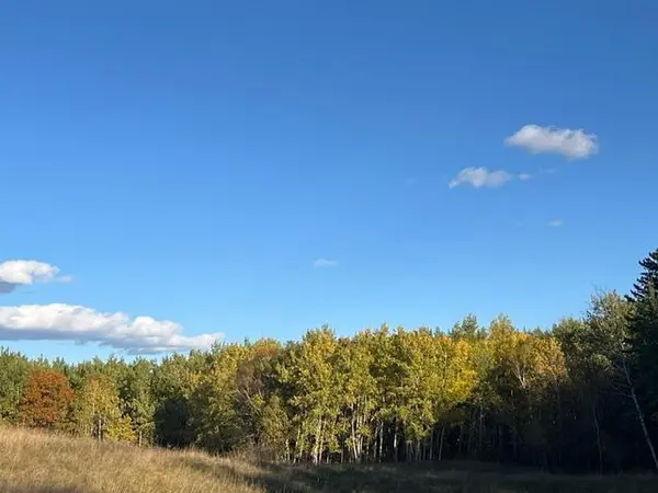 19212 Stockyard RD, Bagley, MN 56621