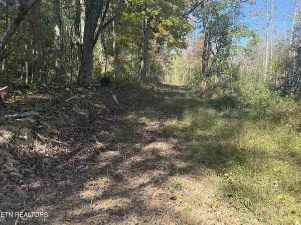 2697 Mt Helen Rd, Allardt, TN 38504