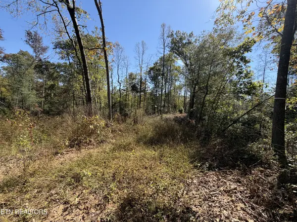 2697 Mt Helen Rd, Allardt, TN 38504