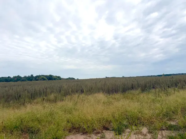 TBD (L8-SM East) Flamingo ST NW, Isanti, MN 55040