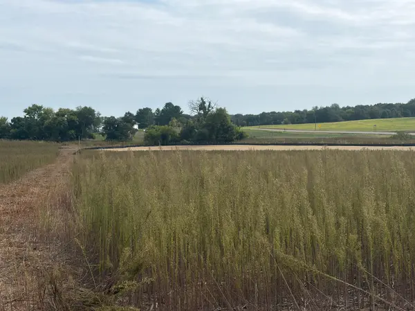 TBD (L14-SM East) Yellowpine CT NW, Isanti, MN 55040
