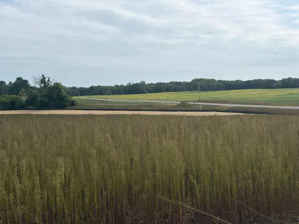 TBD (L14-SM East) Yellowpine CT NW, Isanti, MN 55040