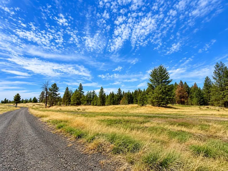 XXXX S Bootstrap Ln #Lot #12, Cheney, WA 99004