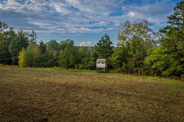 TBD FM 1998, Karnack, TX 75661