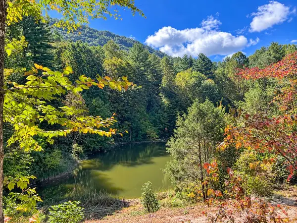 414 Bear Lake CIR, Whittier, NC 28789