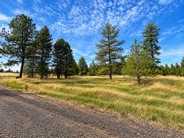 XXXX S Bootstrap Ln #Lot #2, Cheney, WA 99004