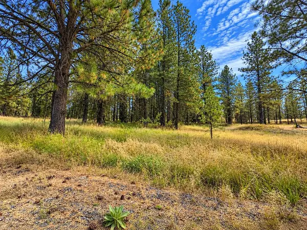 XXXX S Bootstrap Ln #Lot #2, Cheney, WA 99004