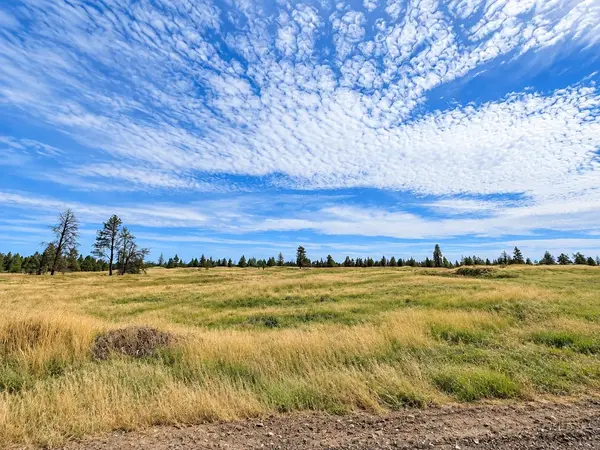 XXXX S Bootstrap Ln #Lot #12, Cheney, WA 99004