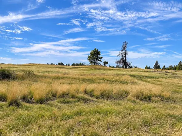 XXXX S Bootstrap Ln #Lot #12, Cheney, WA 99004