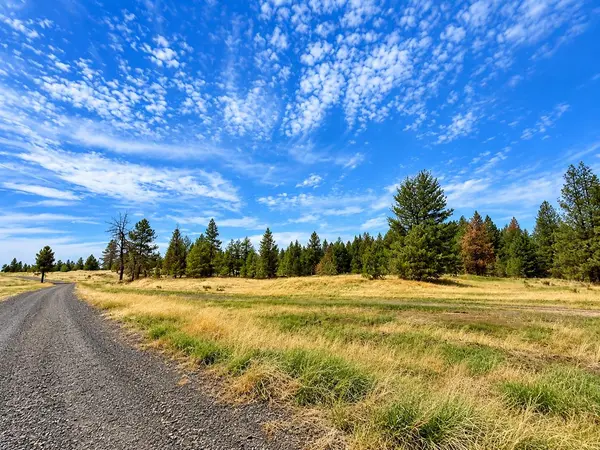 XXXX S Bootstrap Ln #Lot #12, Cheney, WA 99004