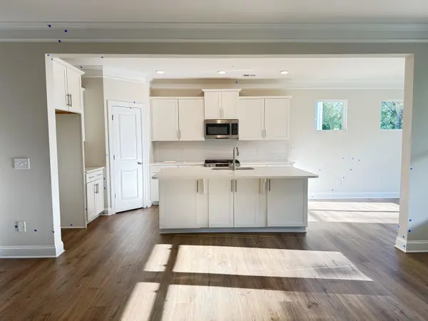 1125 Stable WAY, Landrum, SC 29356