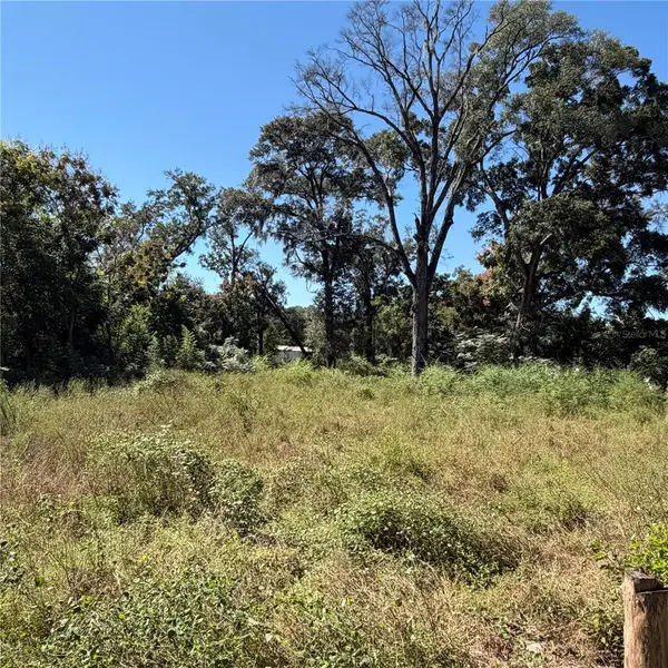 16612 SE 25TH AVE, Summerfield, FL 34491