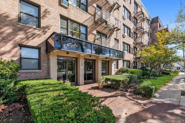 1 Birchwood CT #3B, Mineola, NY 11501