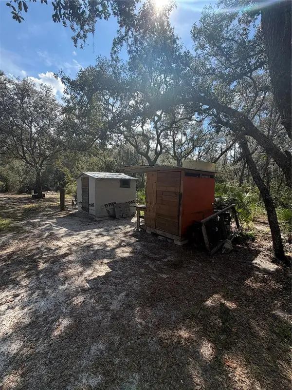 TBD NE 192ND PL, Fort Mc Coy, FL 32134