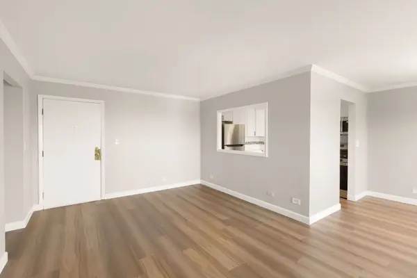1460 FAIRLANE DR #515, Schaumburg, IL 60193