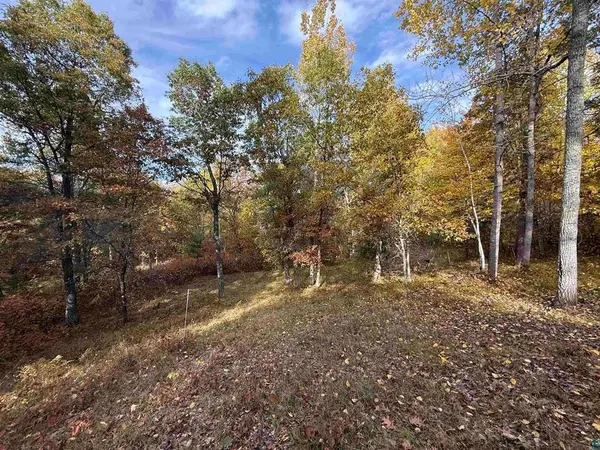 51190 Loon Echo LN, Barnes, WI 54873