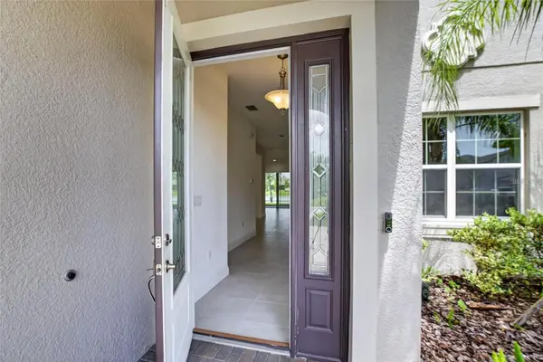 31142 LINDENTREE DR, Wesley Chapel, FL 33543