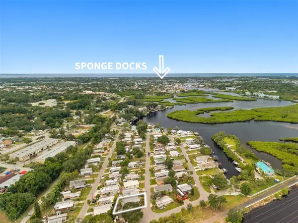 752 DRIFTWOOD LN, Tarpon Springs, FL 34689