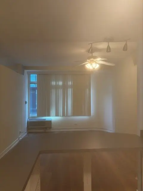 211 E OHIO ST #611, Chicago, IL 60611