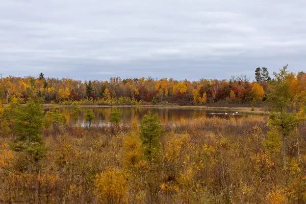 6300 Boot Lake RD SW, Bemidji, MN 56601