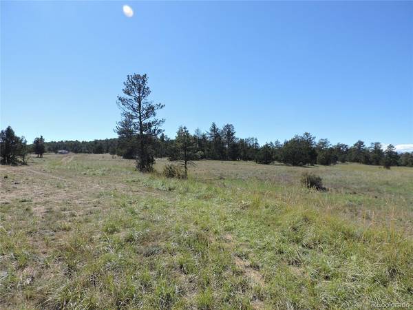 Iron Mountain, Texas Creek, CO 81223