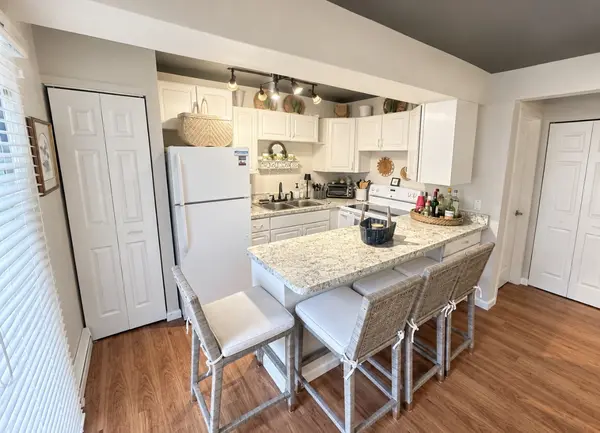 17 Saint Thomas Colony #4, Fox Lake, IL 60020