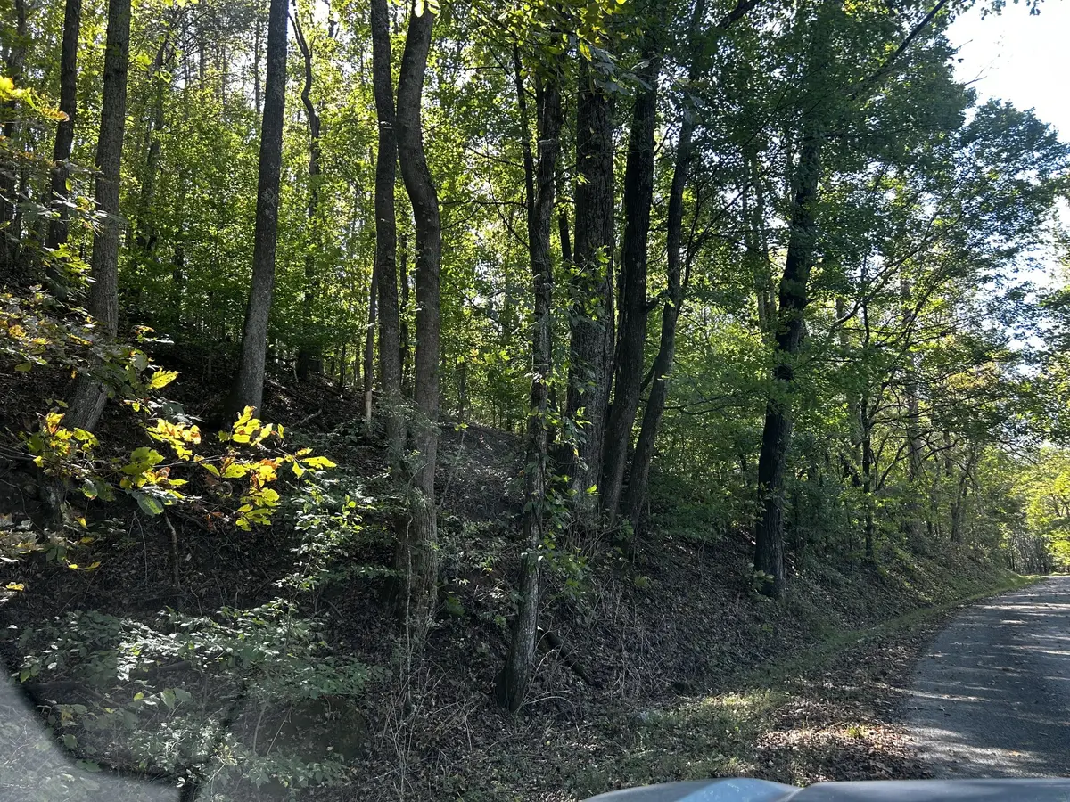 40 Roberts Road, Prospect, TN 38477