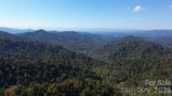 9999 Kelses Valley DR, Mars Hill, NC 28754