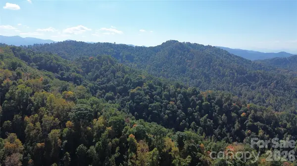 9999 Kelses Valley DR, Mars Hill, NC 28754