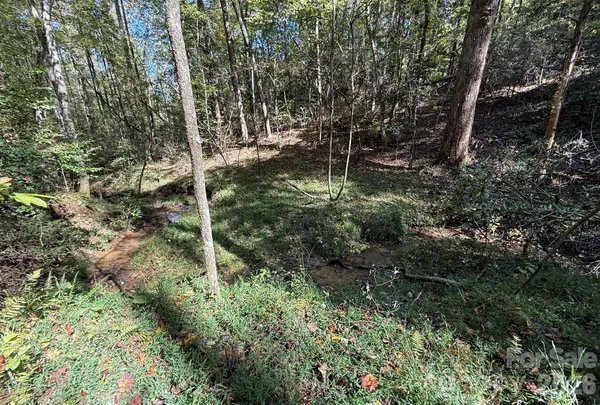 V/L Secluded CIR, Marion, NC 28752