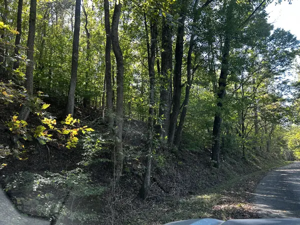 40 Roberts Road, Prospect, TN 38477