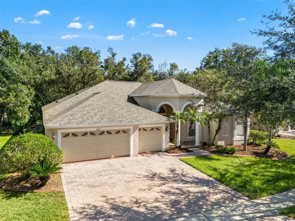 17353 EMERALD CHASE DR, Tampa, FL 33647
