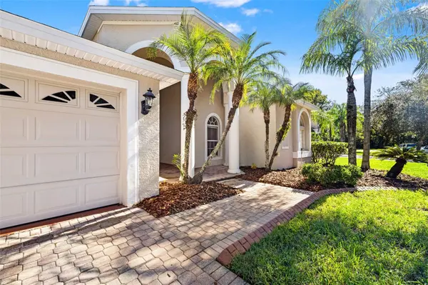 17353 EMERALD CHASE DR, Tampa, FL 33647