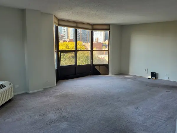 899 S Plymouth CT #504, Chicago, IL 60605