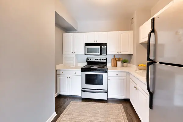 3600 N LAKE SHORE DR #222, Chicago, IL 60613