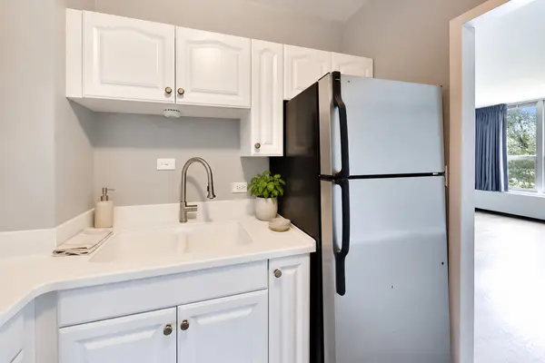 3600 N LAKE SHORE DR #222, Chicago, IL 60613