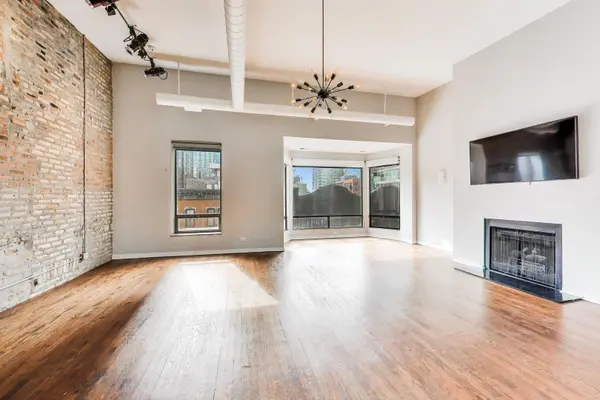 503 N Wells ST #3, Chicago, IL 60654