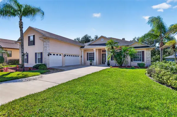 725 CITRUS WOOD LN, Valrico, FL 33594