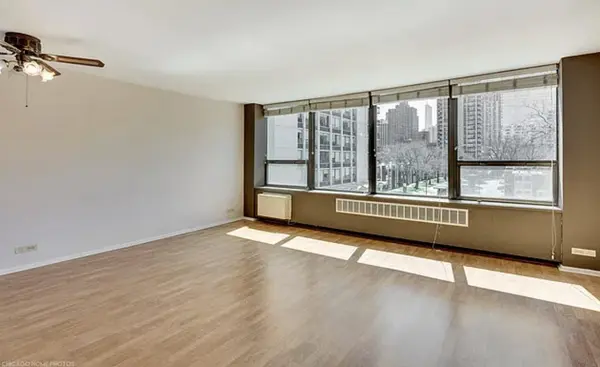 1360 N Sandburg TER #303, Chicago, IL 60610