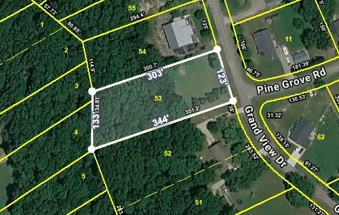 0 Pine Grove Rd, Smithville, TN 37166