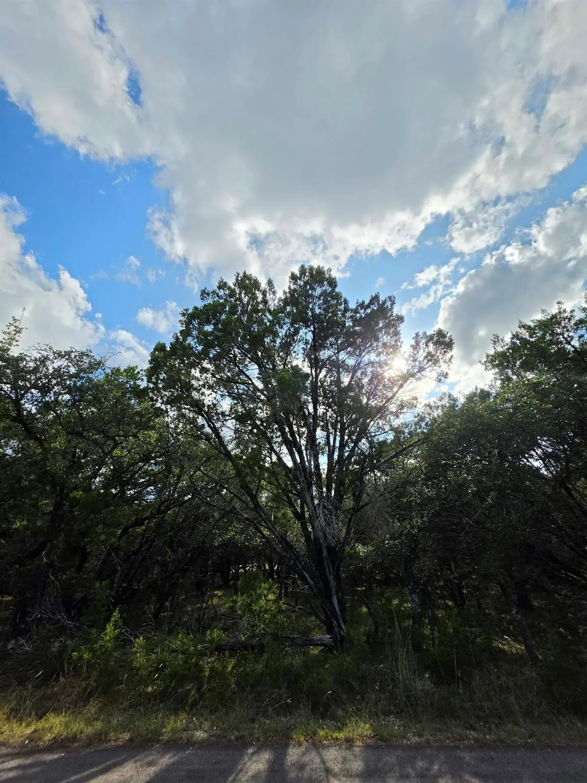7623 Sagebrush TRL, Leander, TX 78645