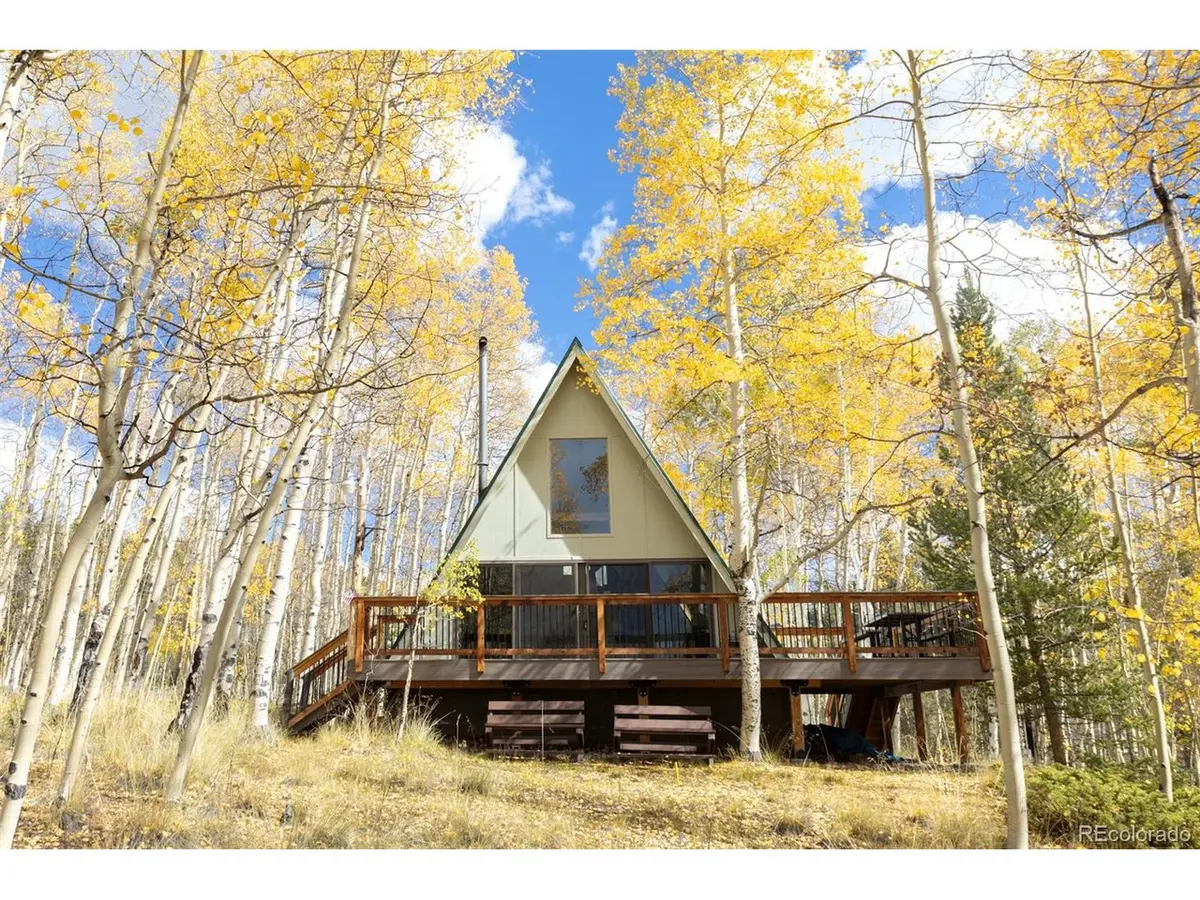206 Empire, Leadville, CO 80461
