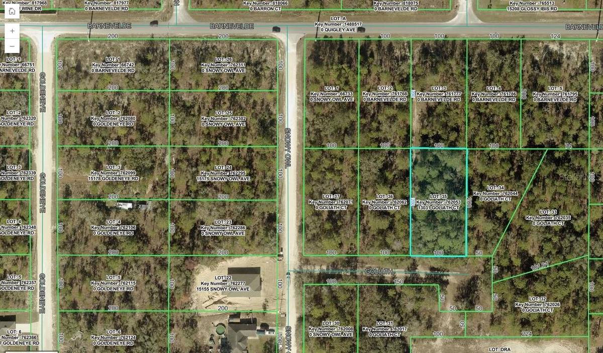 13031 GOLIATH CT, Weeki Wachee, FL 34614
