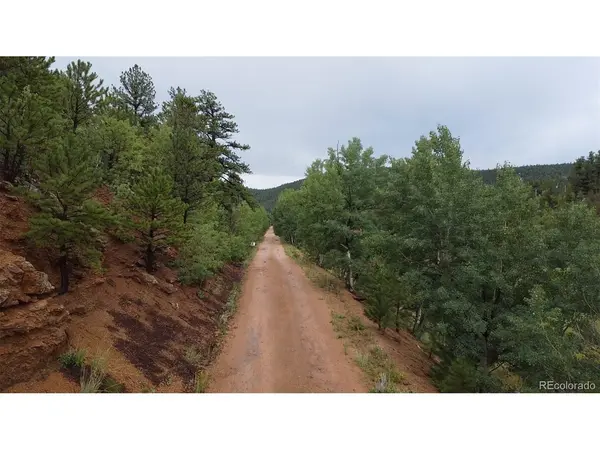 381 Neish, Bailey, CO 80421
